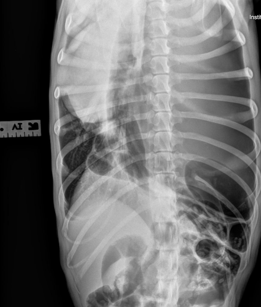 Brain Teaser: Can you solve this puzzle?