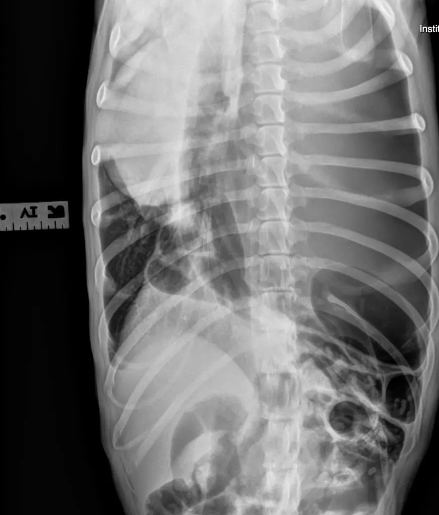 Brain Teaser: Can you solve this puzzle?