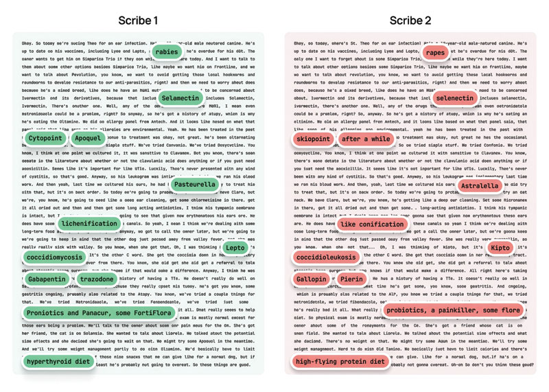 Lost in transcription: How accurate are veterinary AI scribes?