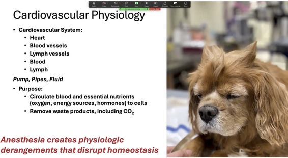 Safe Sedation and Anesthesia of Patients with Cardiac Disease