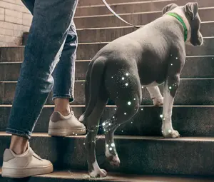 Science In Every Step