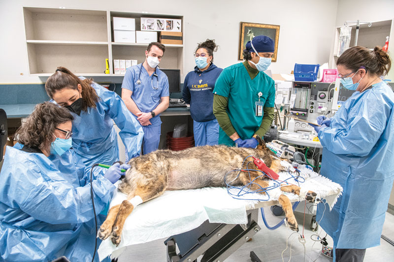 Cancer center offers the latest in diagnostic, treatment services