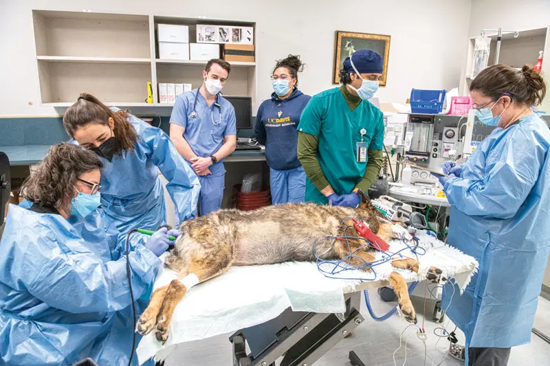 Cancer center offers the latest in diagnostic, treatment services