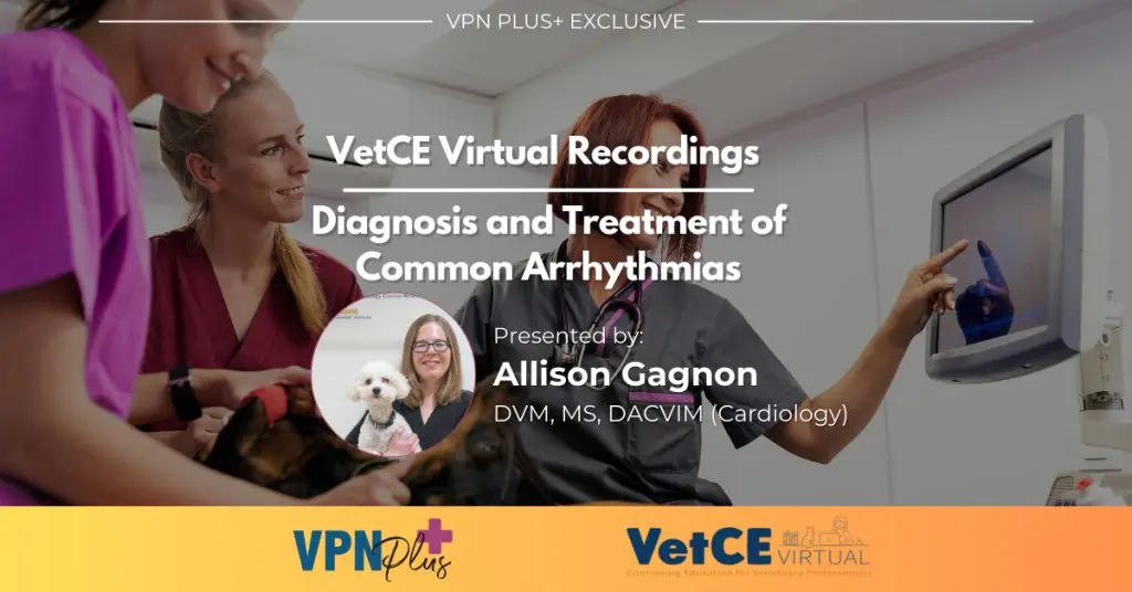 Diagnosis and Treatment of Common Arrhythmias