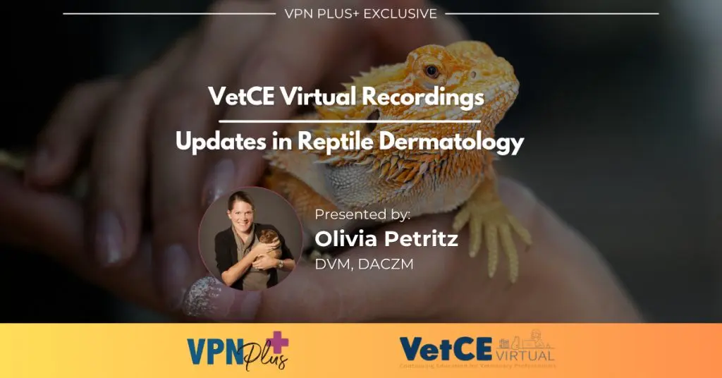 Updates in Reptile Dermatology