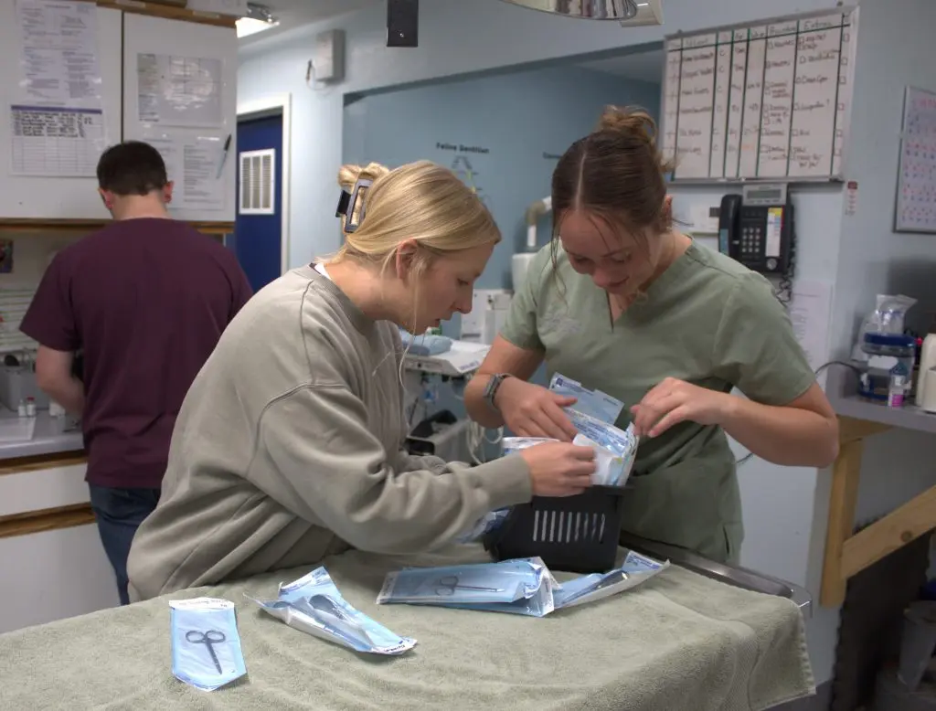 Trust: A function of a purpose-driven team, part 1