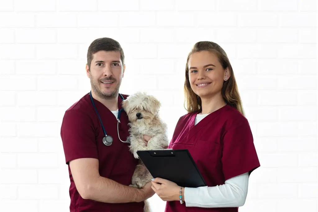 New campaign spotlights mental health in vet med