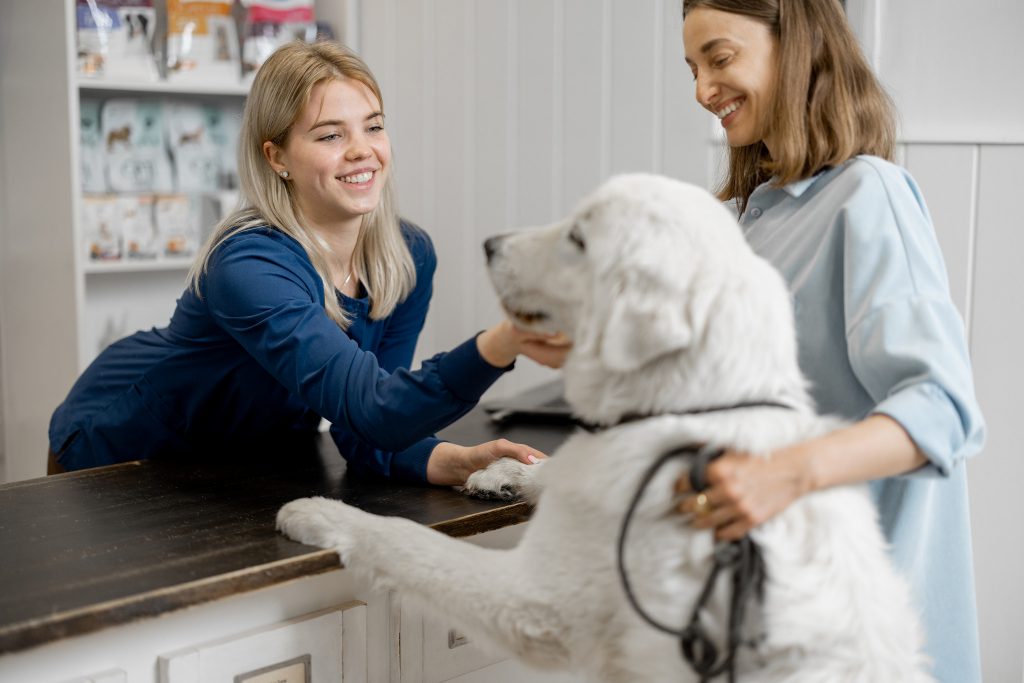 A look at the expanding role of veterinary receptionists