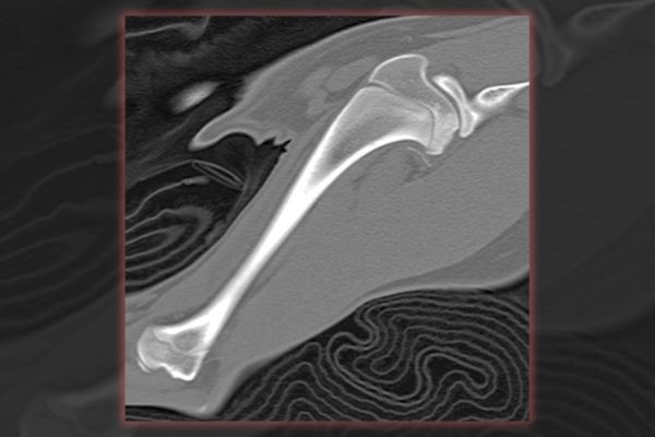 Brain Teaser: Can you solve this puzzle?