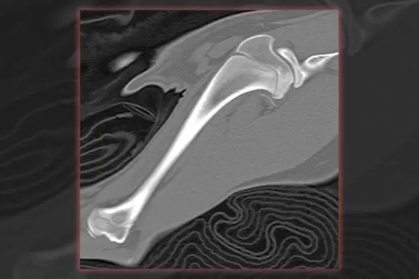 Brain Teaser: Can you solve this puzzle?