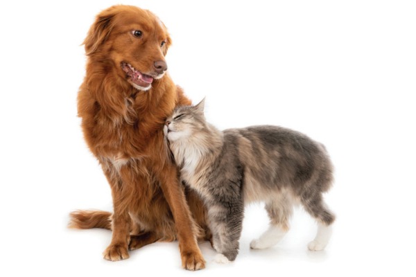 Stop the scratch: Current treatment recommendations and options for pruritus management