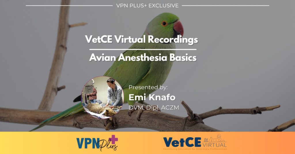 Avian Anesthesia Basics