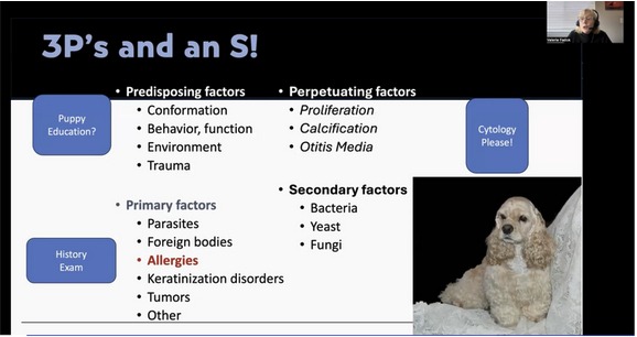 Chronic Otitis Externa: Strategies for Better Care