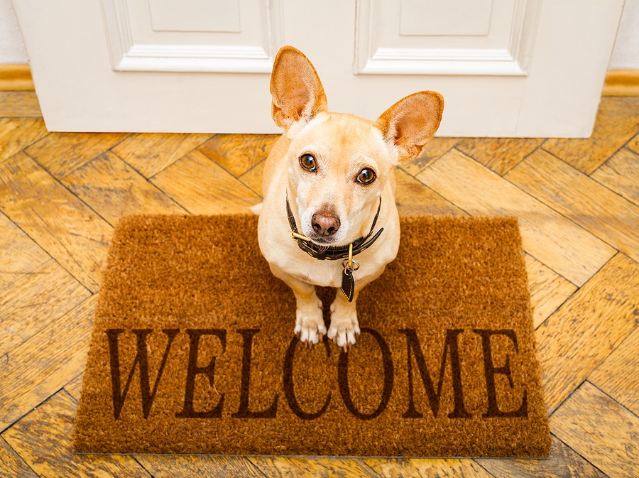 Pet-inclusive housing focus of recent industry forum