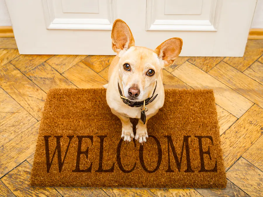 Pet-inclusive housing focus of recent industry forum