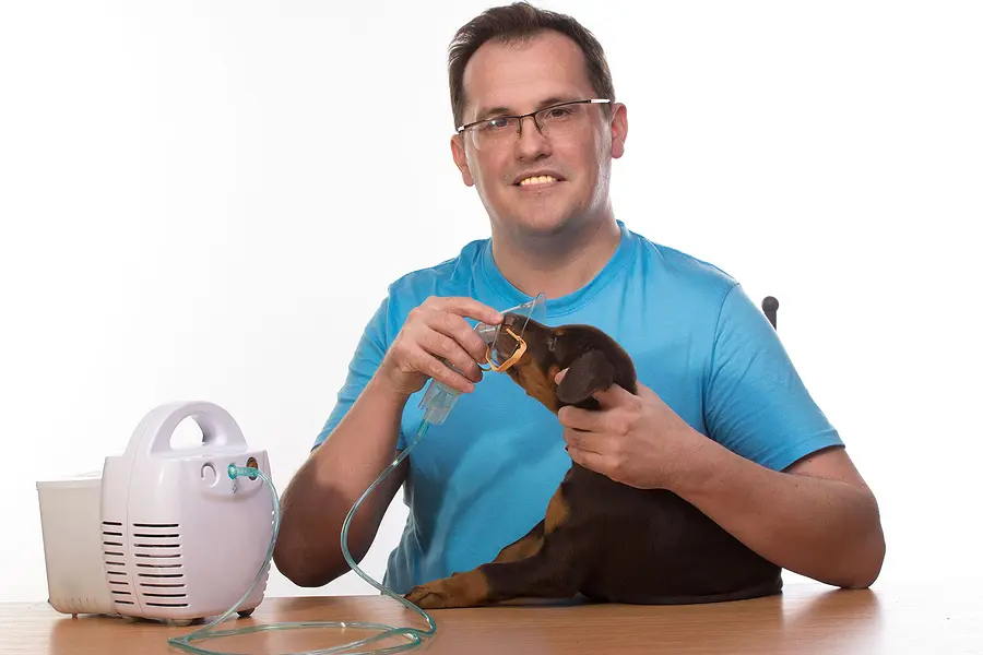 Reviewing chronic canine bronchitis and One Health considerations