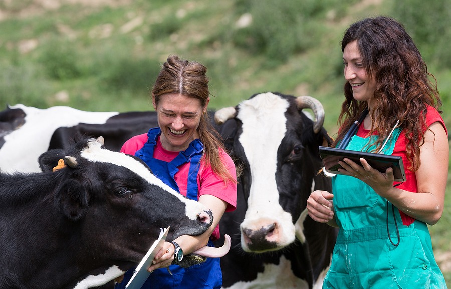 Overlooked roles of veterinarians highlighted in global survey