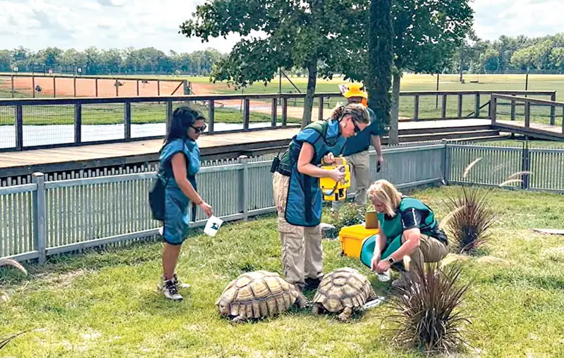 Wildlife center bolsters patient care with collaboration