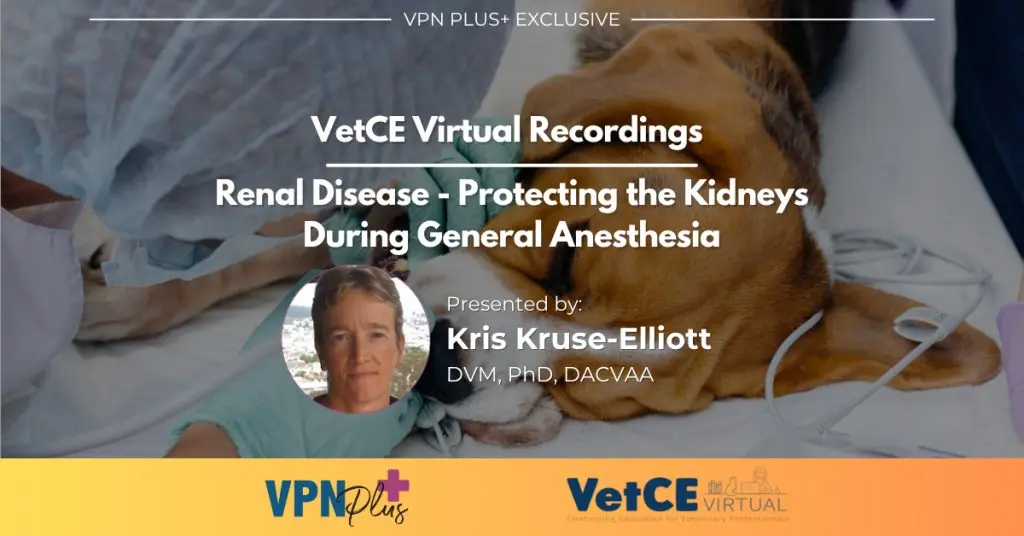 Renal Disease - Protecting the Kidneys During General Anesthesia