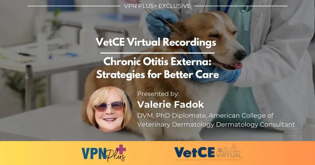 Chronic Otitis Externa: Strategies for Better Care