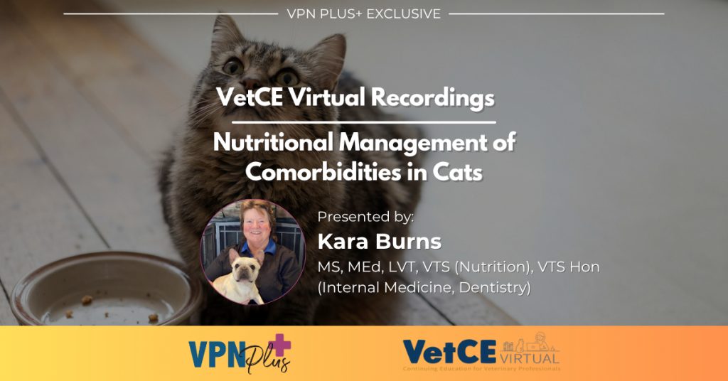 Nutritional Management of Comorbidities in Cats