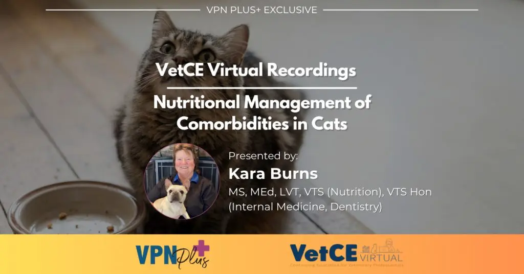 Nutritional Management of Comorbidities in Cats
