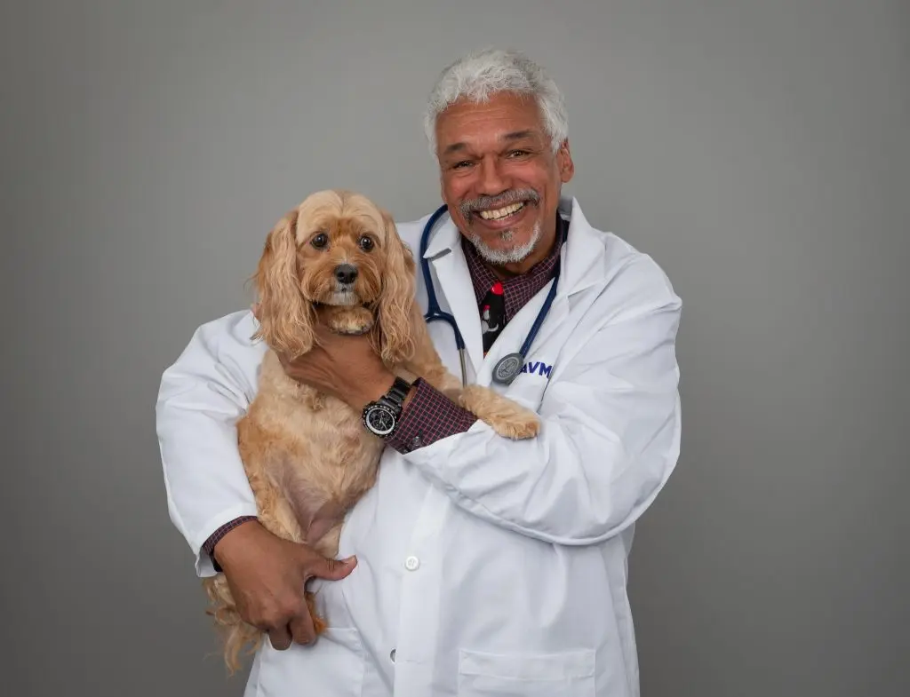 5 Questions With … Dr. Michael Q. Bailey, AVMA president