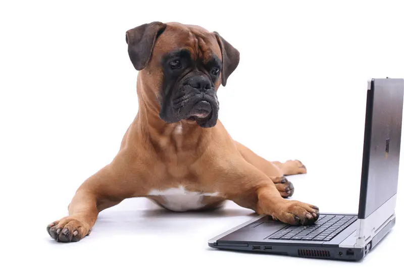 A few more ways the internet is killing our profession (and how we're fueling it)