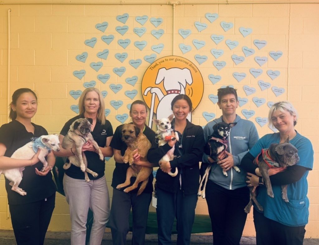 Animal welfare nonprofits across the U.S. receive nearly $80,000 in donations