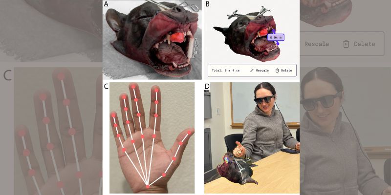 Use of augmented reality glasses in canine surgeries explored in new study