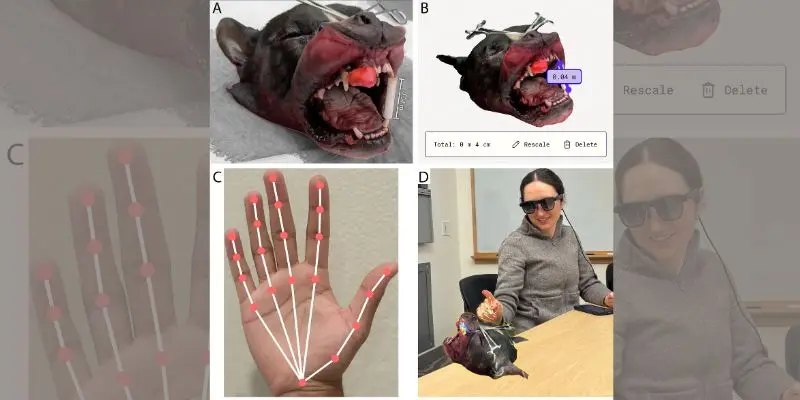 Use of augmented reality glasses in canine surgeries explored in new study
