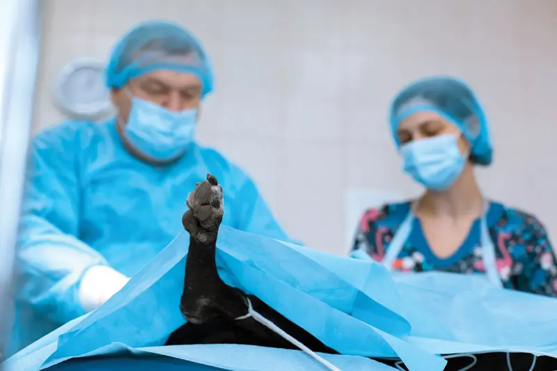 Ways to close the care gap between general practitioners and specialists