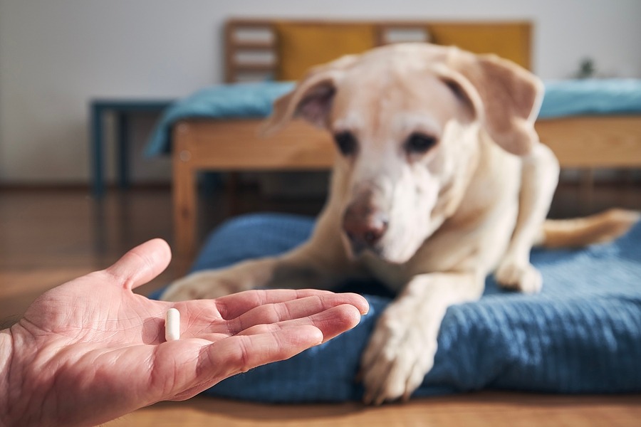 New approach to old pets