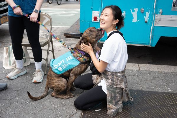 NYC event bolsters pet adoption