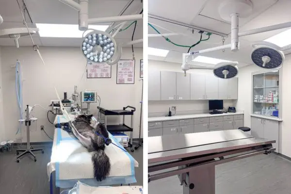 Space: The final frontier in surgical efficiency