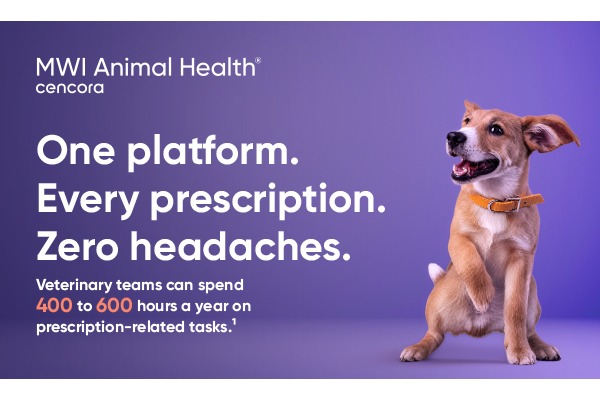 Reclaiming Lost Hours: How Digital Prescription Management Is Reshaping Veterinary Workflows