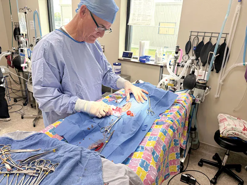 Clinics focus on client retention, communication amidst cost pressures