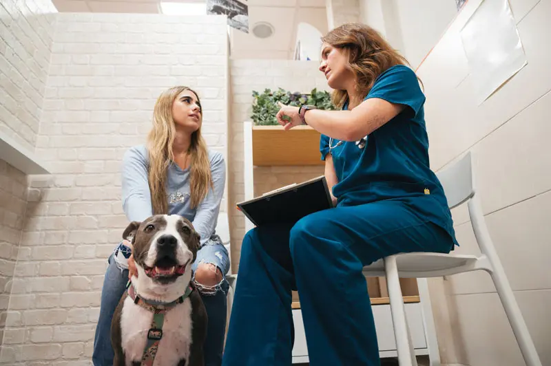 Guiding clients through uncertainty