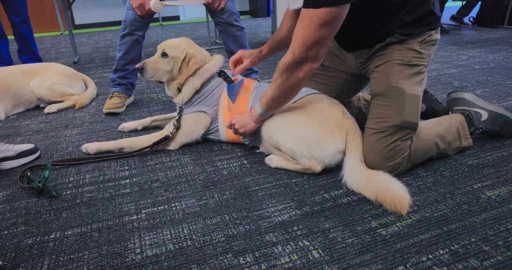 Oregon hospital trains K9 handlers in emergency care