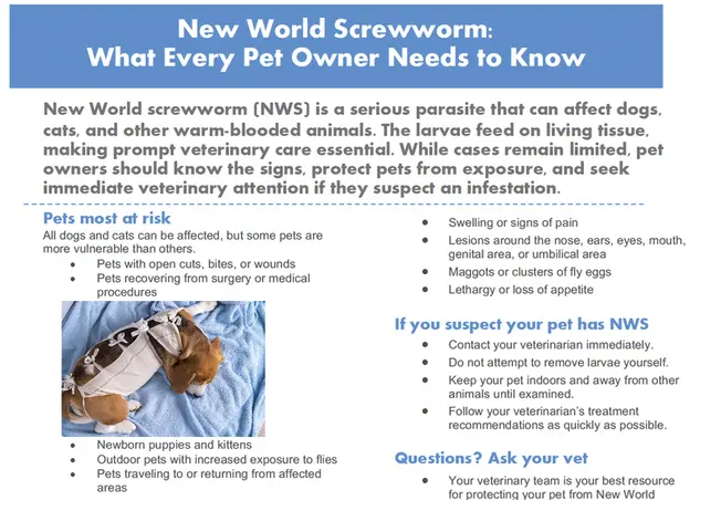 New World screwworm risks infographic download