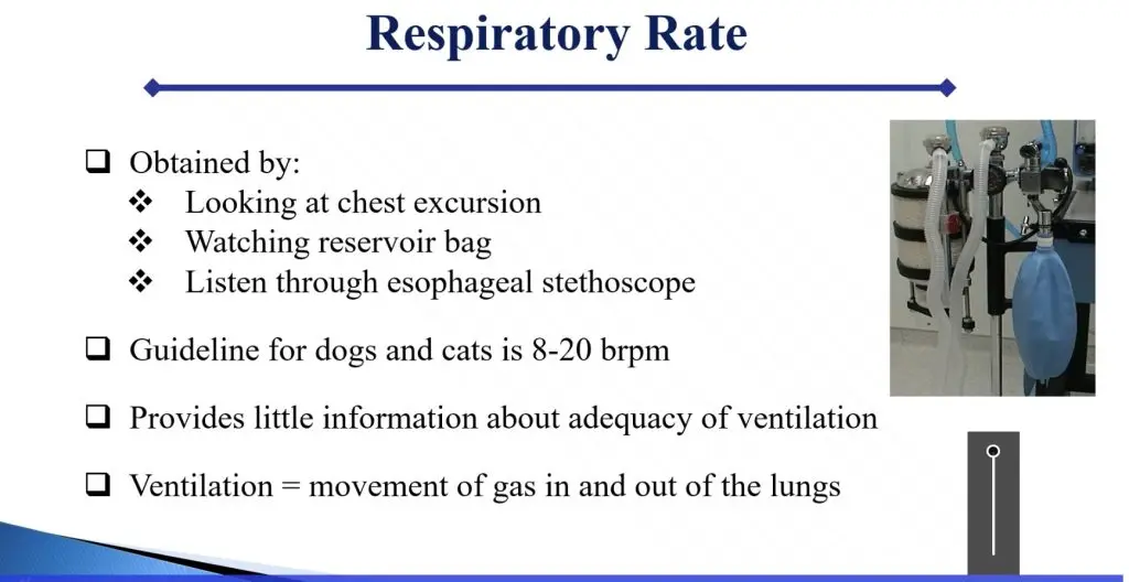 Management of Respiratory Complications During Anesthesia