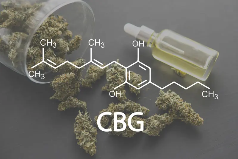 What you need to know about cannabigerol