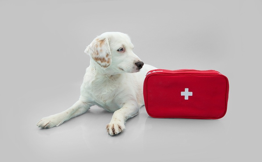 New first aid guidelines offer evidence-based recommendations