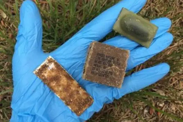 Oral rabies vaccine baits distributed across Northern Maine