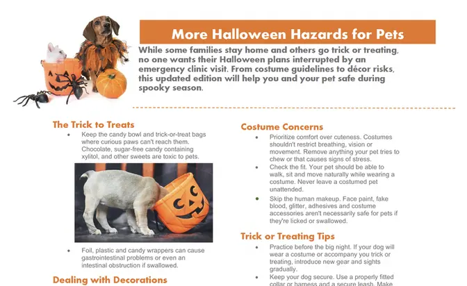More Halloween Hazards Infographic