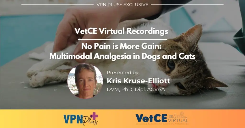 No Pain is More Gain: Multimodal Analgesia in Dogs and Cats