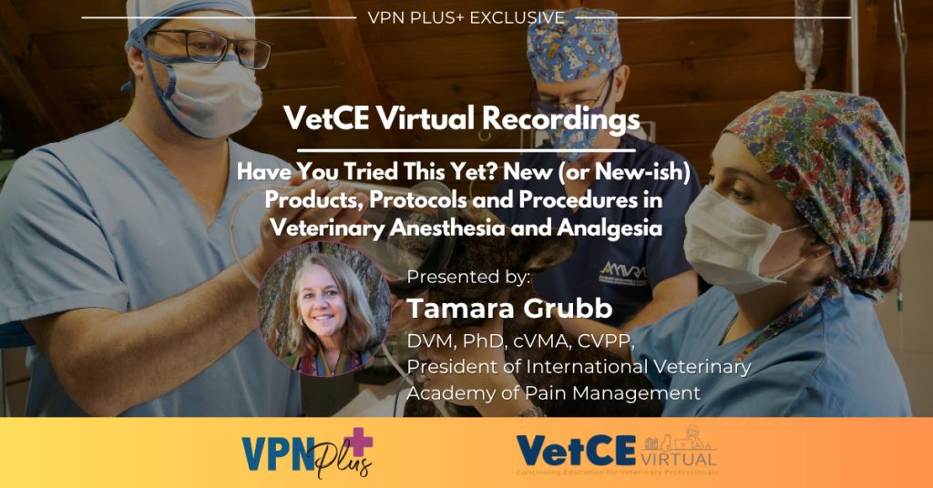 Have You Tried This Yet? New (or New-ish) Products, Protocols and Procedures in Veterinary Anesthesia and Analgesia