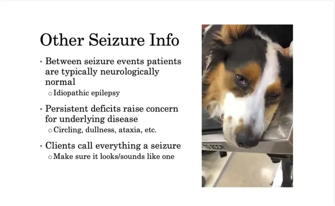 Neuro Patient Care Tips and Tricks