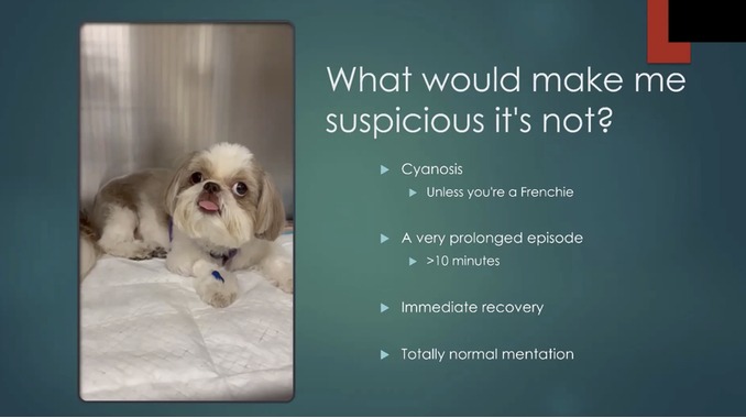 Seizures in General Practice: What to Do in the First 60 Minutes