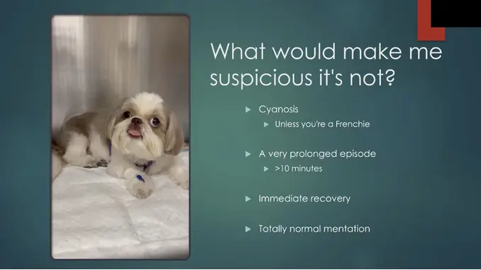 Seizures in General Practice: What to Do in the First 60 Minutes